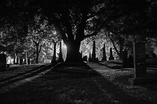 Light behind cemetary tree